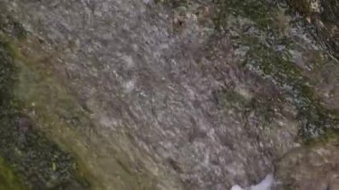 Bir makro çekim dağlarda küçük bir şelale yakalıyor kayaların üzerinden akan tatlı suyla..