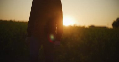 Dalgın bir çiftçi, dingin manzaralarla çevrili güzel gün batımı tarım arazilerinde yürüyor..