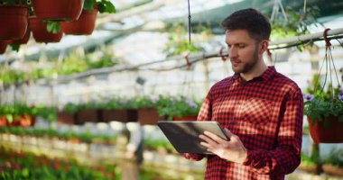 Güzel bir seranın ortasında dijital tabletle çalışan profesyonel bir bahçıvan..