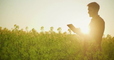 Güzel altın saat günbatımının altında verimli bir tarlada çalışan çiftçi kırsal hayatın özünü ve doğanın güzelliğini yakalıyor..