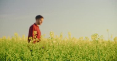 Bir çiftçi açık mavi gökyüzüne karşı canlı bir kolza tohumu tarlasında zarif bir şekilde yürür..