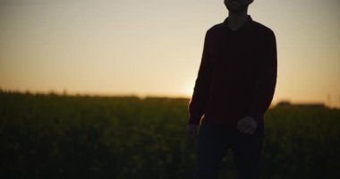 Geniş sarı kanola tarlalarında gün batımında gezinen bir çiftçinin manzarası..