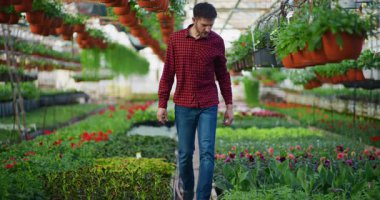 Sera sahibi süs çiçeklerinin sağlık ve büyümelerini sağlamak için durumunu kontrol eder..