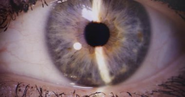 Hastalıklara karşı yapılan son derece teknik bir muayene sırasında göz retinasının yakınlaştırılmış görüntüsü.