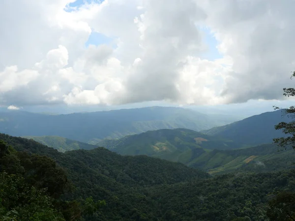 Bulut Sis Dağları Sisli Vadide Yeşil Orman Kayalarla Kaplıyor Nan — Stok fotoğraf