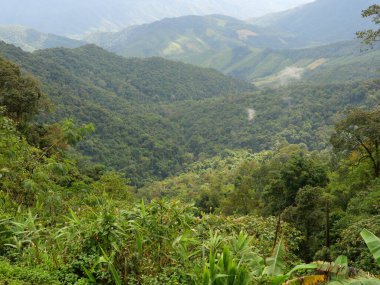 Sis kireçtaşı dağını, vadideki sisi yeşil orman ve kayayla kaplıyor. Nan Eyaleti, Tayland