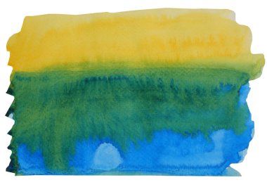 Beyaz zemin üzerinde izole edilmiş sarı ve yeşil renk akışına sahip soyut arkaplan ve doku deseni, suluboya el çizimi ve kağıda boyanmış