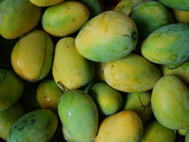 Yeşil derileri sararan bir grup olgun mango. Tropikal mango meyveleri güzel bir tat ve kokuya sahip.