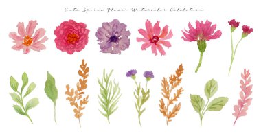 set of watercolor spring flowers and leaves, hand drawn illustration