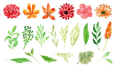 set of watercolor flowers, leaves, buds and branches. hand drawn illustration.