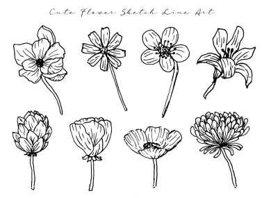 set of vector illustrations of flowers, sketch, hand drawn, black, white,