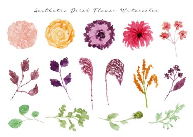 Suluboya çiçek ve yapraklar, elle çizilmiş resimler.