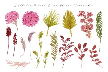 Estetik Kurutulmuş Çiçek Sulu Renk Koleksiyonu