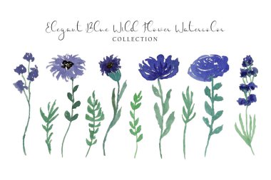 Bir demet zarif mavi yabani çiçek suluboya