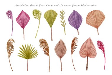 Estetik modern kurutulmuş fan yaprağı ve pampa otları suluboya