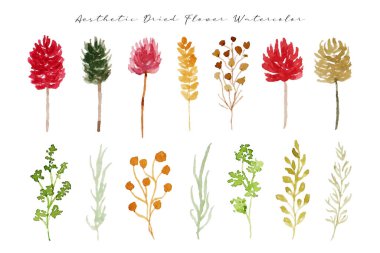 Estetik renkli kurutulmuş çiçek ve yaprak suluboya