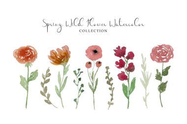 Bir çift güzel el boyalı yabani çiçek ve yaprak suluboya.