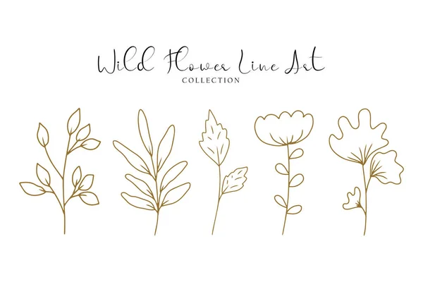 stock vector aesthetic hand drawn wild flower line art collection