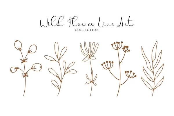 stock vector aesthetic hand drawn wild flower line art collection