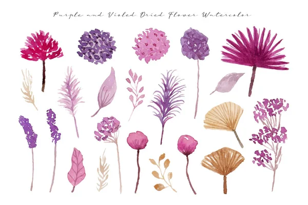 stock vector Purple and Violet Dried Flower Watercolor