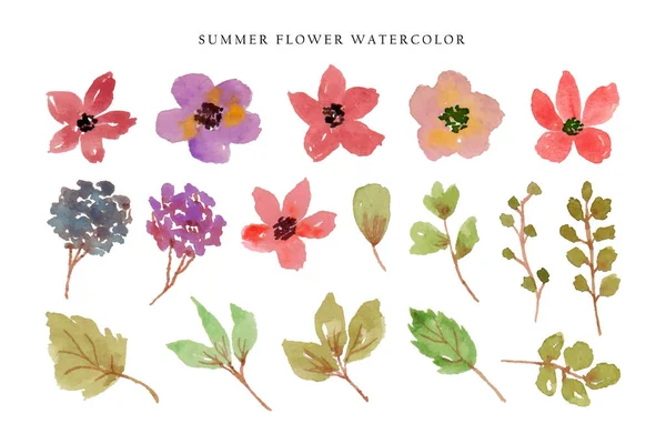 stock vector a set of cute summer colorful wild flower and leaf watercolor