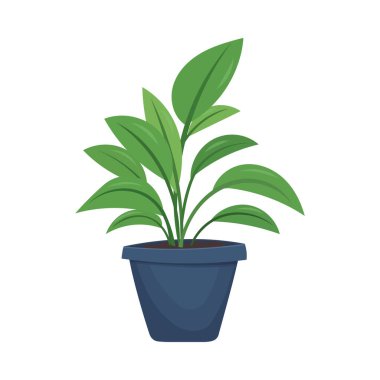 Saksıda ev bitkileri. Tasarım evi, oda ya da ofis elementleri. Beyaz arka planda izole bir element var. Vektör illüstrasyonu