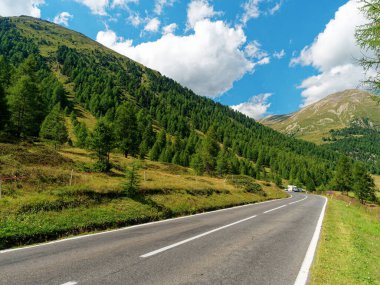 Yazın dağlarda dağ yolu