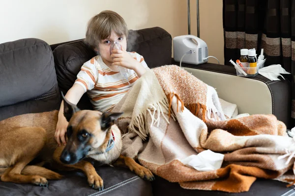 Criança Doente Sofá Casa Com Animal Estimação Conceito Saúde — Fotografia de Stock