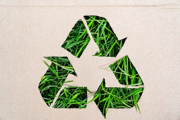 Recycling Concept Recycling Symbol Made Cardboard Withgreen Grass Background High — Stock Photo, Image