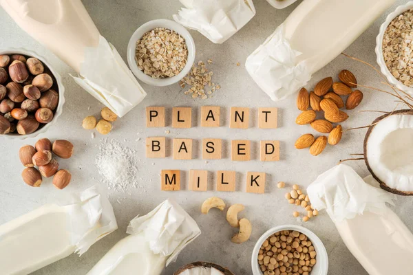 Plant Based Milk Concept Selection Alternative Milks Rustic Background Top — Stock Photo, Image