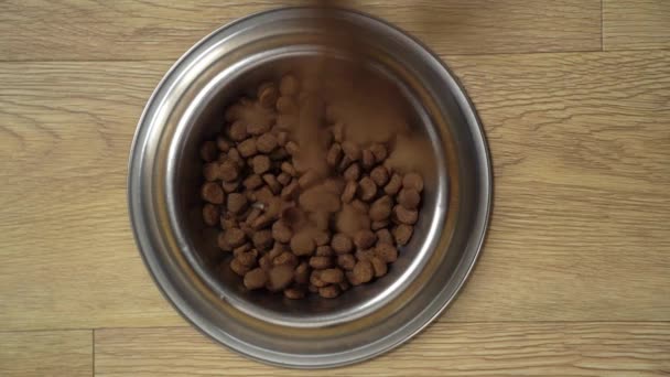 Comida Seca Para Mascotas Cayendo Tazón Cámara Lenta Vista Superior — Vídeos de Stock