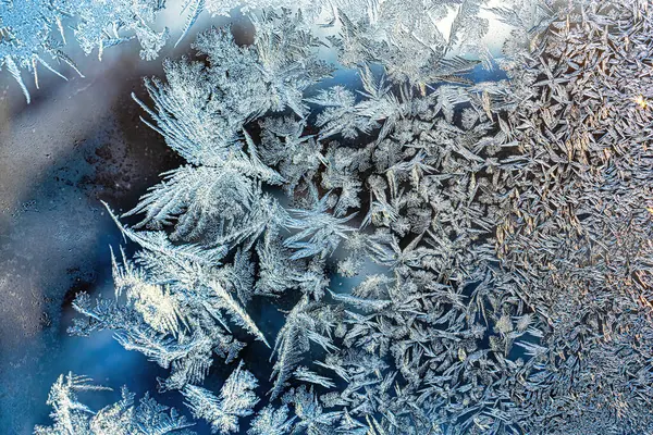 Frost Texture Frozen Glass Winter Winter Background —  Fotos de Stock