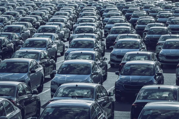 Rows of a new cars parked in a distribution center on a car factory on a sunny day. Top view to the parking in the open air.