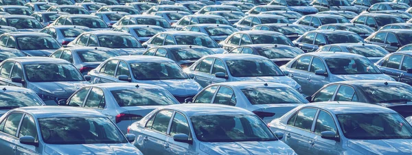 Rows New Cars Parked Distribution Center Car Factory Sunny Day — Stock Photo, Image