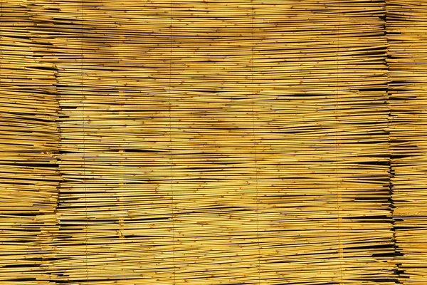 Texture of oriental bamboo curtains. Abstract background for design.