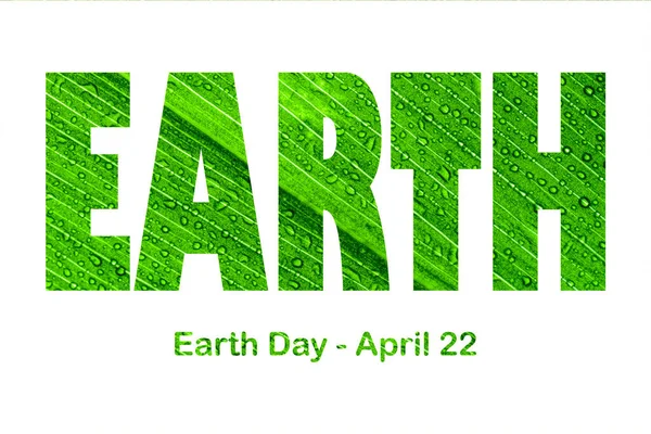 Lettering Earth Day April 22 on the background of lily of the valley leaf. Earth day concept, protection of the planet from pollution, improvement of environmental ecology and nature conservation.