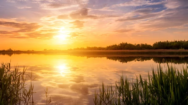 Прекрасный Вид Закат Восход Солнца Над Прудом Озером Весной Ранним — стоковое фото