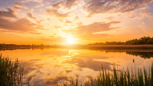 Вид Прекрасний Захід Сонця Або Схід Сонця Над Ставком Або — стокове фото