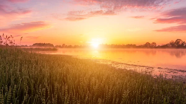 Сценический Вид Прекрасный Восход Солнца Рассвет Над Прудом Озером Весной — стоковое фото