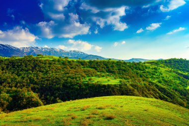 Genç yeşil çimlerle kaplı tepeler ve dağlar güneşli bir yaz gününde güneşle aydınlanıyor. Dağ manzarası.