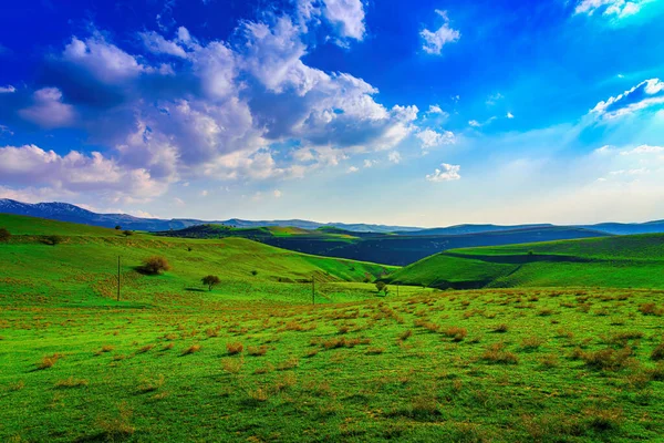Hügel Und Berge Mit Jungem Grünen Gras Bedeckt Und Von — Stockfoto