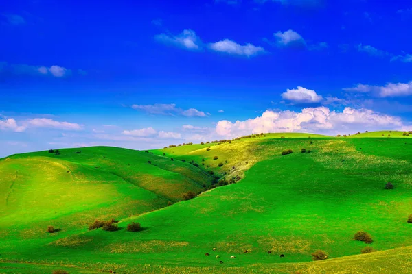 Wzgórza Góry Pokryte Młodą Zieloną Trawą Oświetlone Słońcem Słoneczny Letni — Zdjęcie stockowe