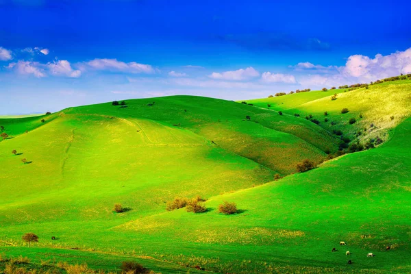 Colline Montagne Ricoperte Erba Verde Illuminate Dal Sole Una Giornata — Foto Stock