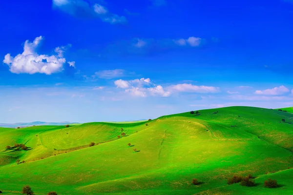 Hills Mountains Covered Young Green Grass Illuminated Sun Sunny Summer — Stock Photo, Image