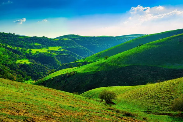 Colinas Montañas Cubiertas Hierba Verde Joven Iluminadas Por Sol Día — Foto de Stock