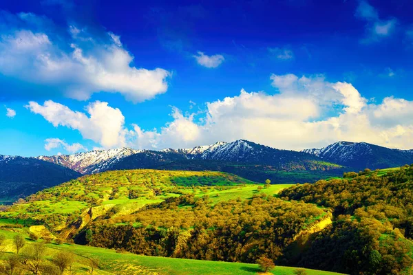 Пагорби Гори Вкриті Молодою Зеленою Травою Освітлені Сонцем Сонячний Літній — стокове фото