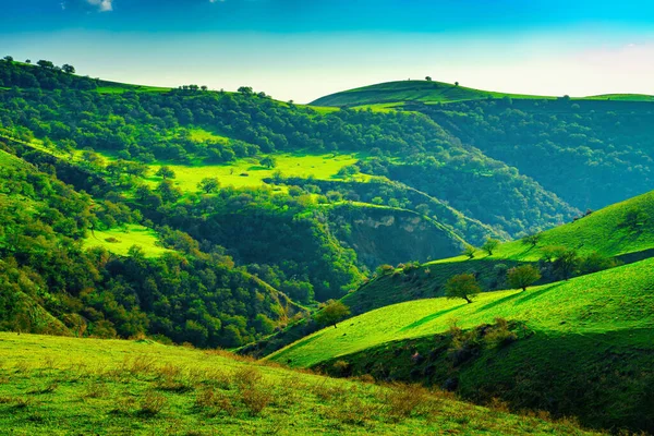 Genç Yeşil Çimlerle Kaplı Tepeler Dağlar Güneşli Bir Yaz Gününde — Stok fotoğraf