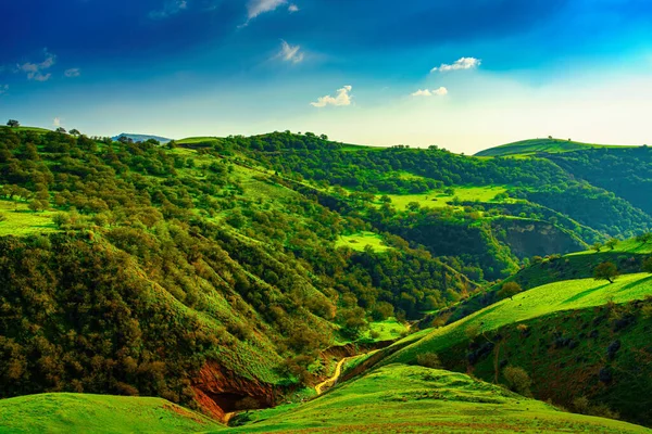 Colinas Montanhas Cobertas Com Grama Verde Jovem Iluminado Pelo Sol — Fotografia de Stock