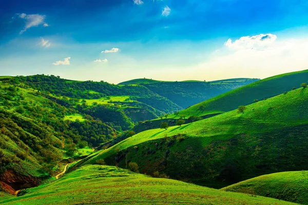 丘や山々は若い緑の草で覆われ 晴れた夏の日に太陽に照らされています 山の風景 — ストック写真