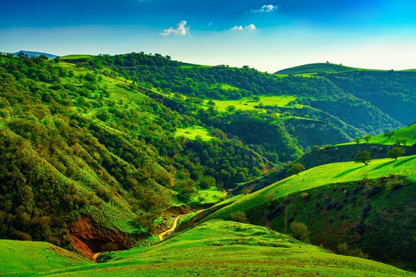 Genç Yeşil Çimlerle Kaplı Tepeler Dağlar Güneşli Bir Yaz Gününde — Stok fotoğraf